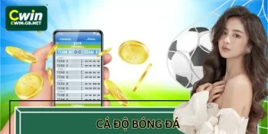 Cá Độ Bóng Đá CWIN Trực Tiếp, Nhận Thưởng Về Tay Tức Thì